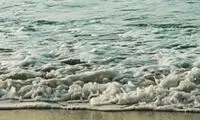 شهاب مرادی و شعری از فاضل نظری