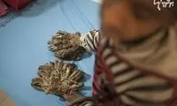 مردی که دارد تبدیل به درخت میشود! (16+)