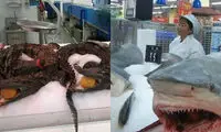 13 سنت عجیبی که تنها در چین می بینید