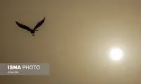 هوای بیشتر مناطق جنوب تهران ناسالم است