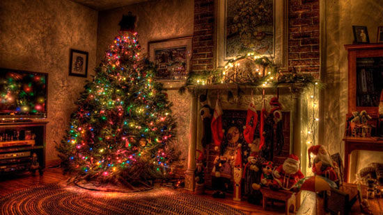 عکس:  زیباترین درختان کریسمس امسال