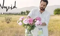 خوش‌بوترین بازیگران ایرانی که برند هم دارند