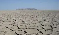 هامون جان داد...