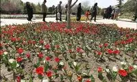 گزارش تصویری از باغ گلها در اصفهان