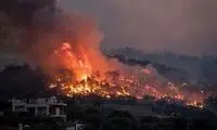 کشته یا آواره‌شدن ۳میلیارد حیوان در استرالیا
