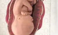 جراح و متخصص زنان و زايمان