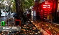 تصویری متفاوت از آخرین روز‌های پاییز در تهران