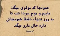 حرفِ دل، حرفِ حساب (۲۰۳)