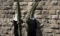 عکس: آئین «یکشنبه نخل‎»