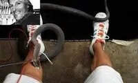 گزيده‌ شدن توسط سريع‌ ترين مار دنیا +عکس