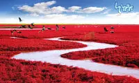 مناظر رنگارنگ باورنکردنی از زمینِ زیبا