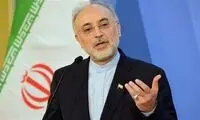 صالحی: تحریم‌های قبل از برجام را فراموش نکنیم
