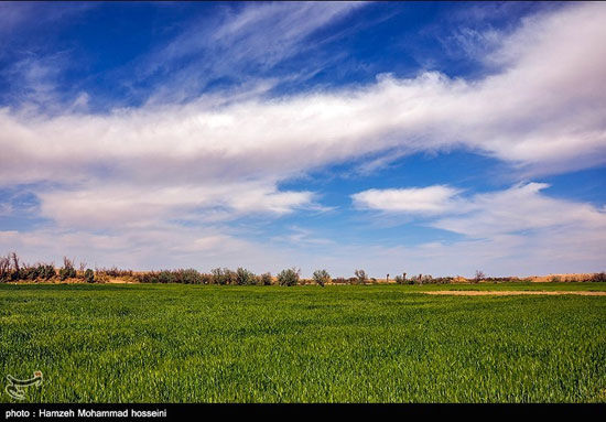 مصرِ ایران +عکس