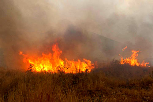 آتش‌سوزی در ۵۲۵ هکتار از مراتع طارم