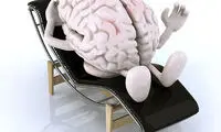 انعطاف پذیری عصبی و کارایی آن در زندگی