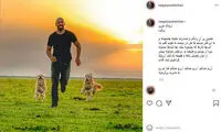 دل‌نوشته نگار جواهریان برای ارشا اقدسی