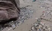 نمایشگاه زباله‌های پلاستیکی جمع آوری شده از ساحل