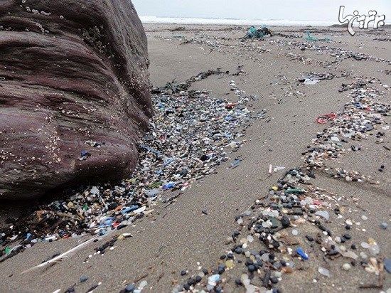 نمایشگاه زباله‌های پلاستیکی جمع آوری شده از ساحل