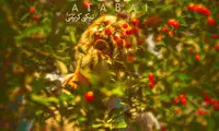 رونمایی از پوستر فیلم سینمایی نیکی کریمی