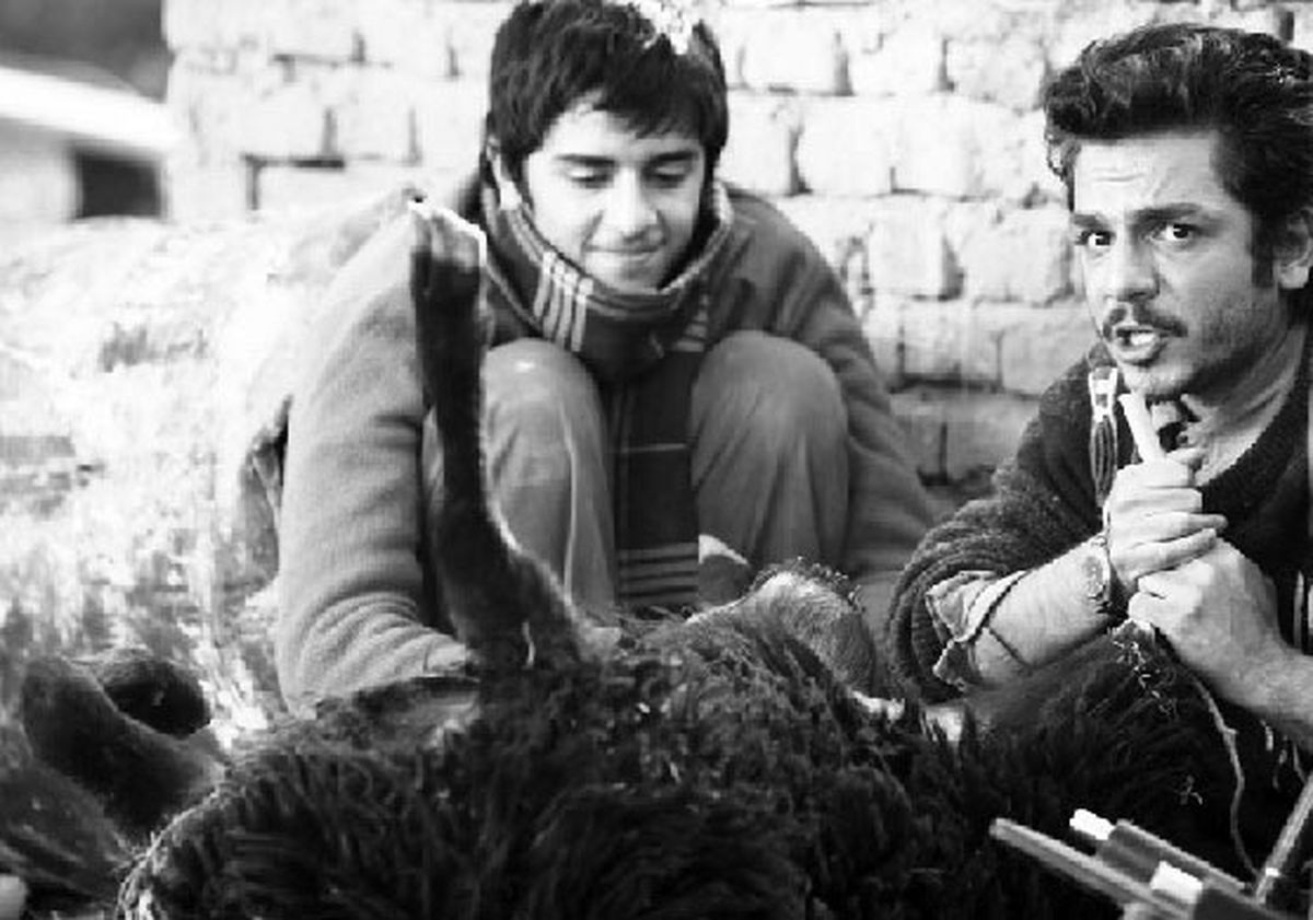 یونس غزالی، این پسر تماشایی و محبوب
