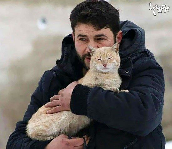 مردی که در سوریه ماند تا از گربه ها مراقبت کند!