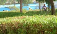 اولین عکس از تیراندازی یکی از تروریست‌های اهواز