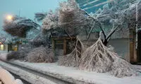 دردسر‌های یک روز برفی در تهران