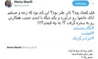 گوینده شبکه خبر: خراب کردی آقای رشیدپور