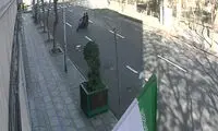 لحظه سرقت گوشی از خبرنگار حوزه قضایی!