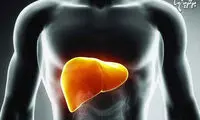 اگر کبد چرب دارید، این غذاها را بخورید