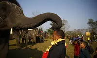دیدنی های امروز؛ دوشنبه 07 دی ماه