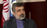 کمالوندی: خیلی واضح کشورمان را تهدید می‌کنند