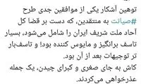 واکنش یک نماینده به توهین همکارش به مردم