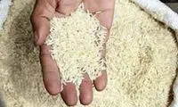 برنج‌های وارداتی از هفته‌ی آینده ترخیص می‌شود