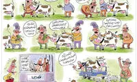 گوشت این طوری گران شد!