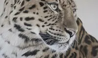 لذت نقاشی‌ با جزئیات بسیار زیاد