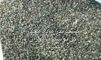 کشف پنج کیلوگرم بذر مخدر گل از سپر کامیون