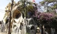 خانه درختی یا درخت خانگی؟! / عکس