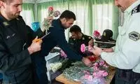 تصاویر: آغاز طرح امنیت‌ اخلاقی با اهدای‌ گل