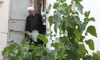 عکس: ورود روحانی به نهاد ریاست جمهوری