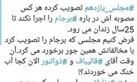 کنایه فعال اصولگرا به مصوبه مجلس درباره برجام