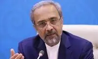 نهاوندیان: آمریکا حق وتوی درخواست وام ایران را ندارد