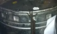 عکاس این عکس چه جراتی داشته!