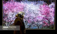 گالری‌گردی در نخستین ماه بهاری
