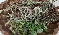 معجزه ترکیب این ۳ گیاه برای رفع سرفه‌های خشک 