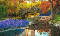 تصاویری شگفت انگیز از دنیای زیبا (98)