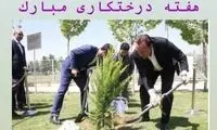 حال درخت ۲۰۰میلیاردی ما چطوره؟