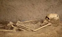 قطعه قطعه کردن اجساد برای جلوگیری از آخرالزمان زامبی!