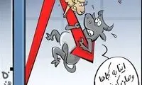 چرا گوشت ارزون نمی‌شه پس؟!