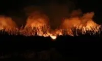 مراتع شهرستان طارم دوباره آتش گرفت